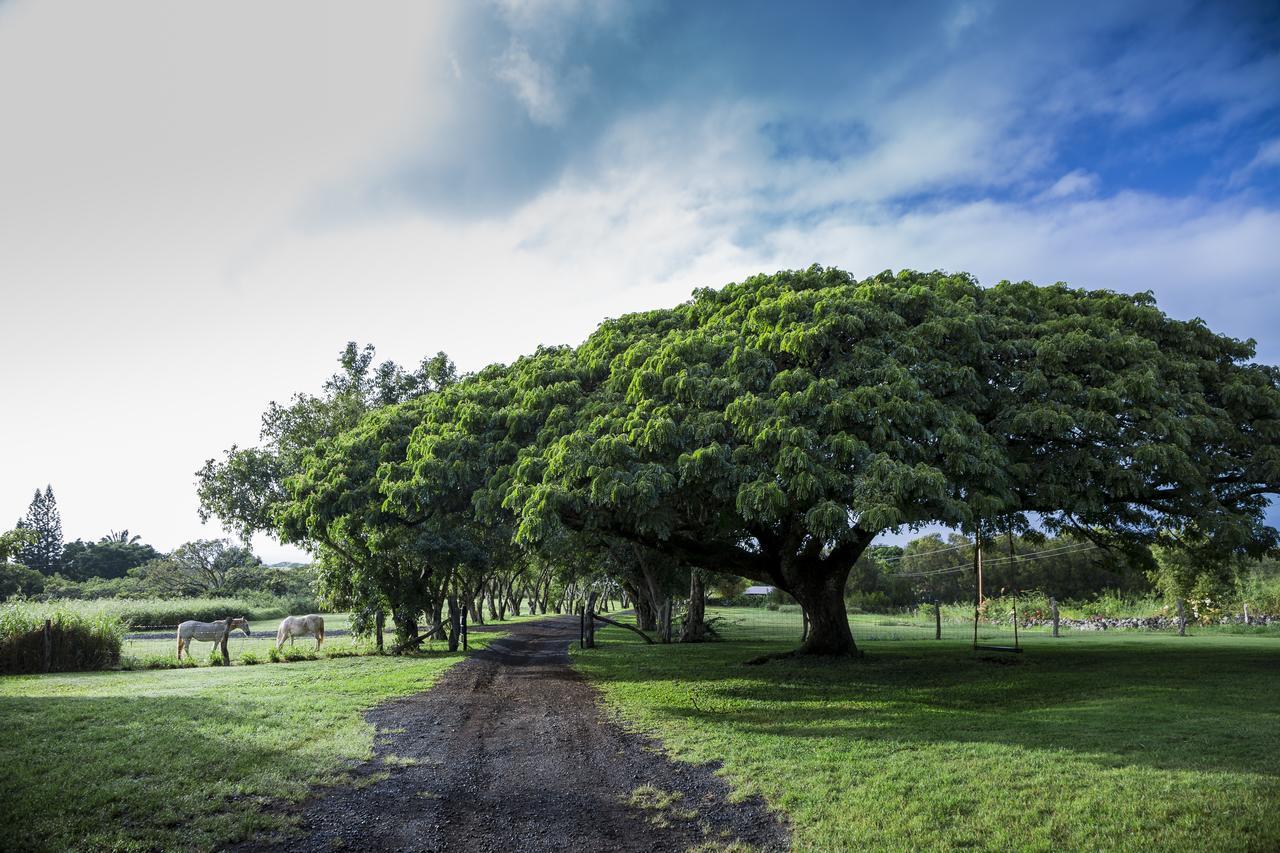 Puakea Ranch Hawi Exterior foto